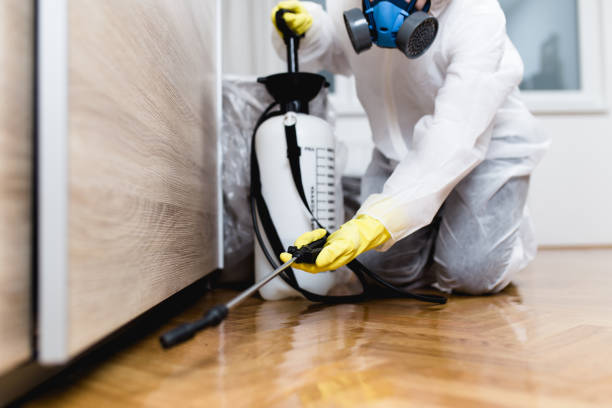 Best Emergency Pest Control  in Willard, MO