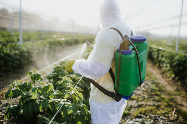 Pest Control Cost in Willard, MO